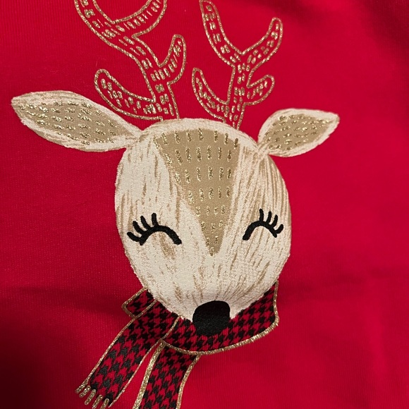 Cater’s 4T 2-piece Christmas Outfit - Picture 10 of 10